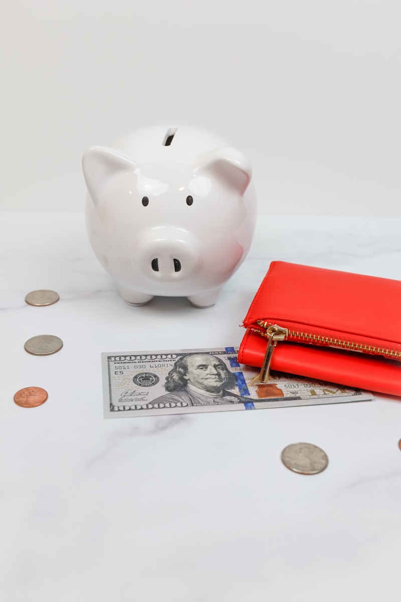 a piggy bank and coins symbolizing savings through cheap homeowners insurance