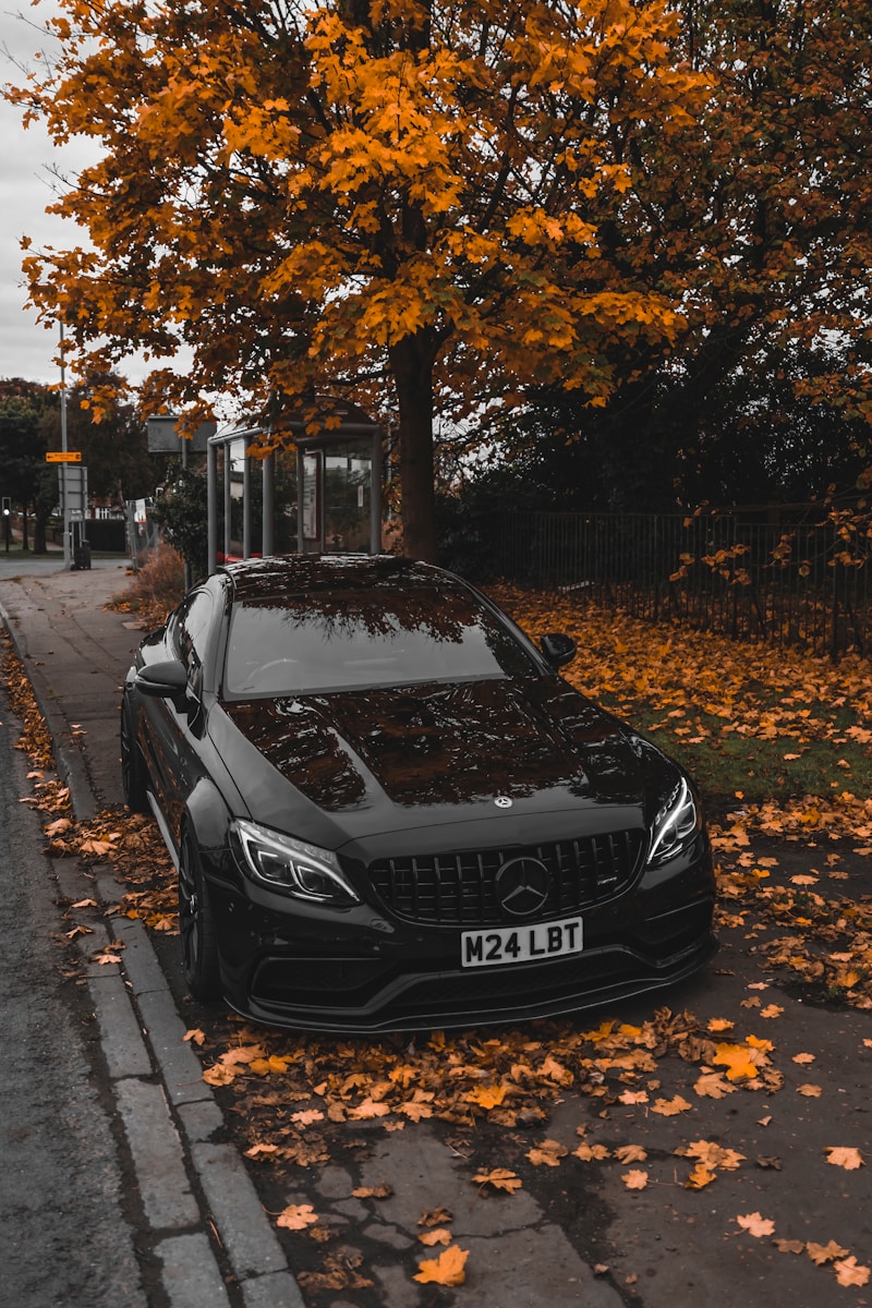 a black car parked on the side of the road with fall auto tune-up done to it